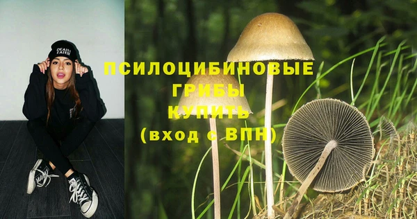 кристаллы Богородицк