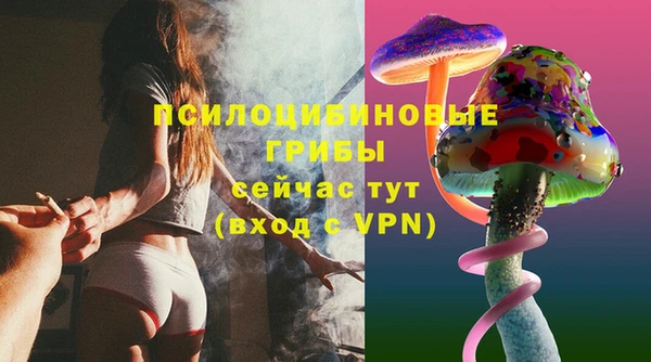 гидра Беломорск